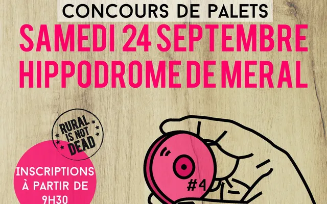 Affiche du Palet Dub Club #4, concours de palets à Méral