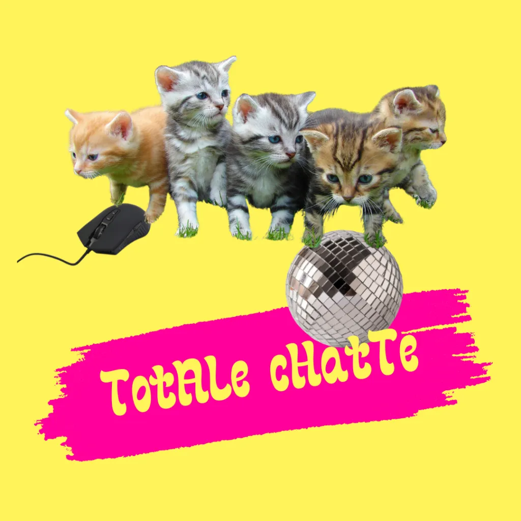Totale Chatte - photo promotionnelle
