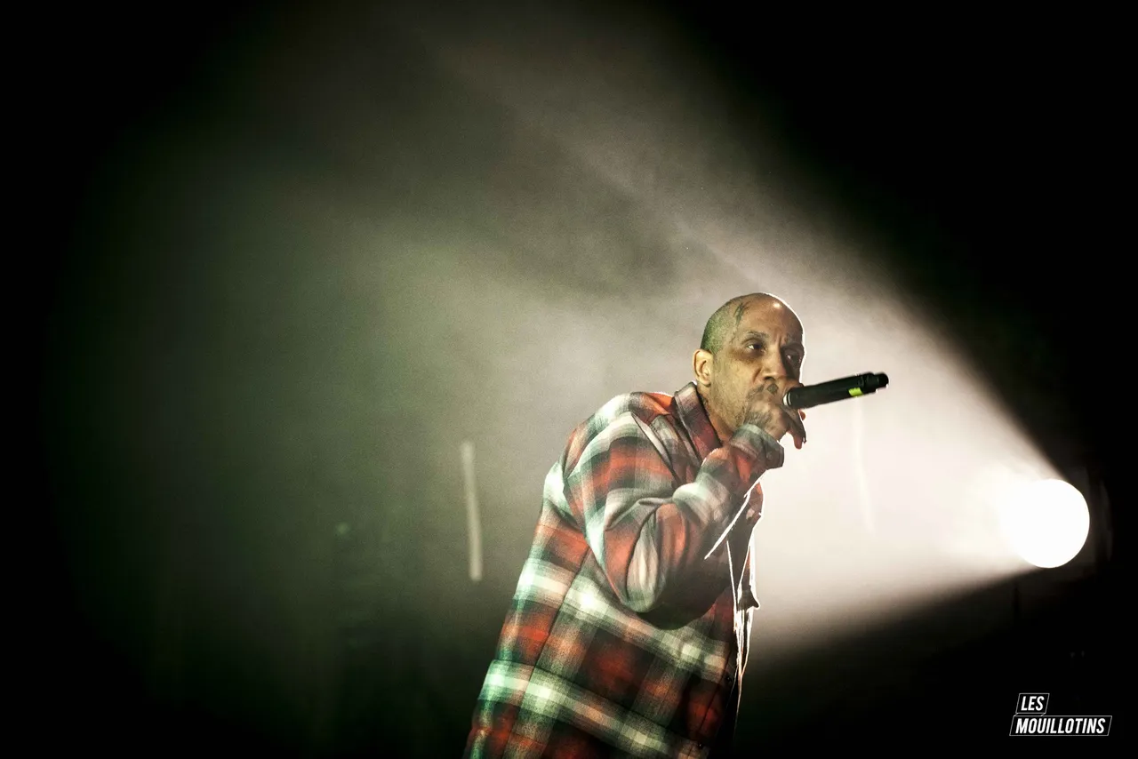 Raggasonic au micro sur la scène A des Mouillotins 2017
