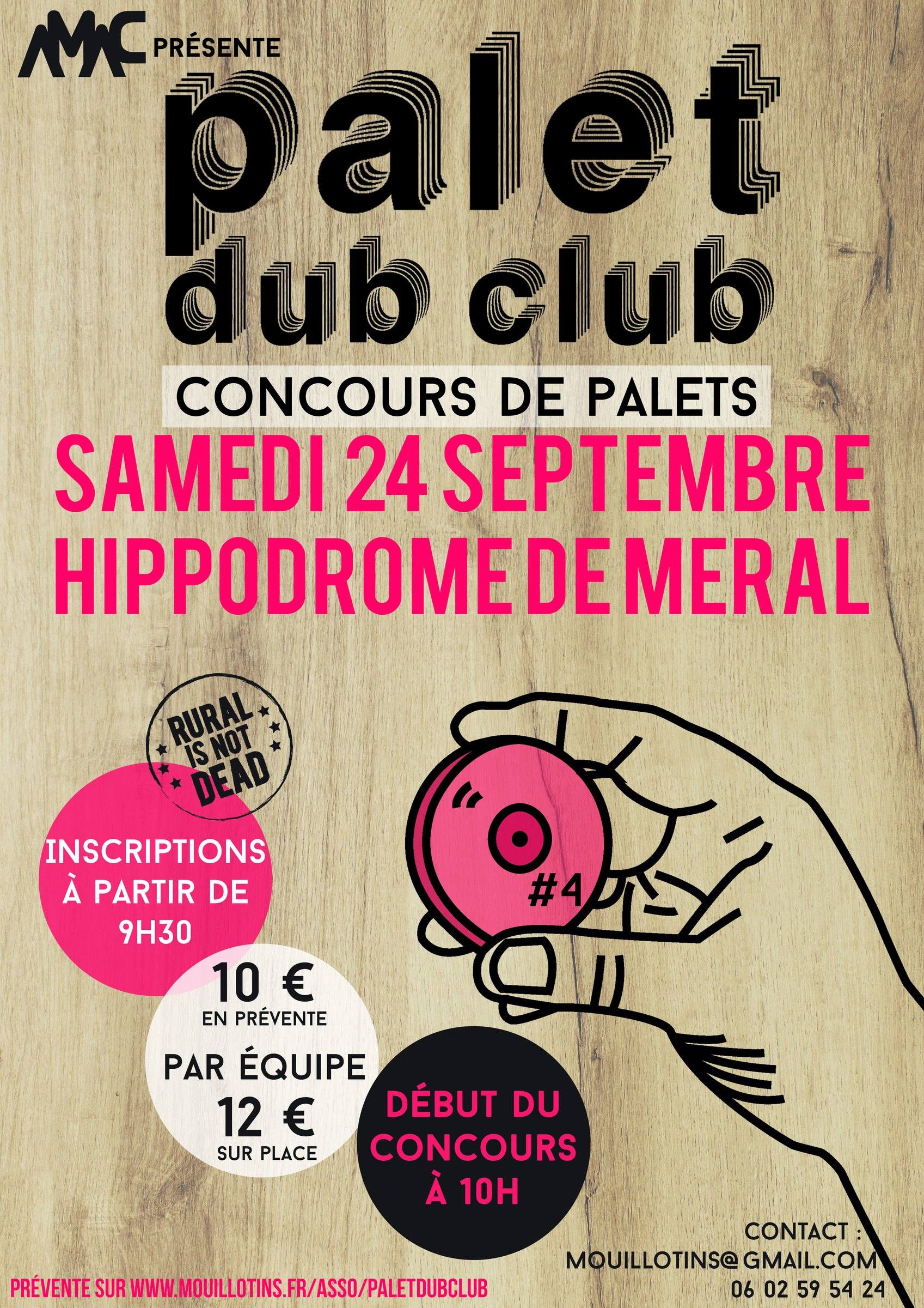 Affiche du Palet Dub Club #4, concours de palets à Méral