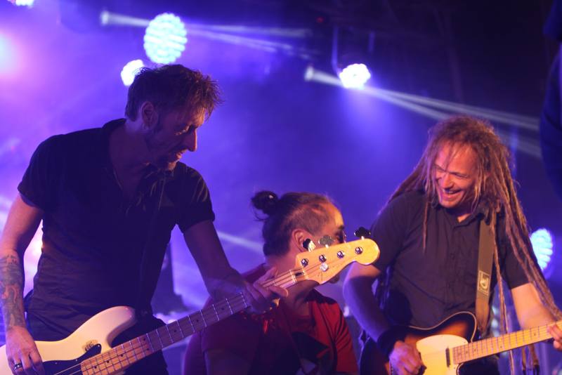 Collectif 13 sous les lumières violettes - photo AMAC / Les Mouillotins